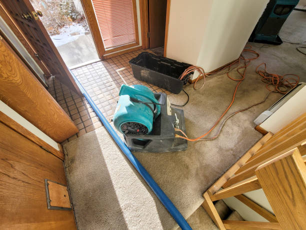 Water damage restoration mold remediation in Ingalls, IN
