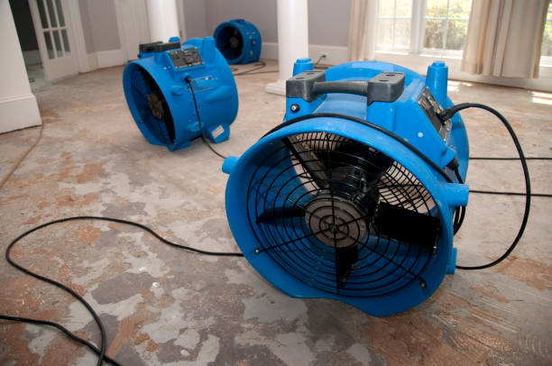 Best Water damage cleanup near me  in Galls, IN
