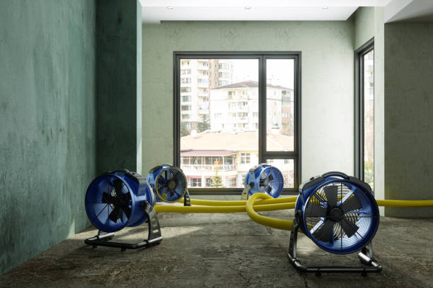 Best Residential water damage restoration  in Galls, IN